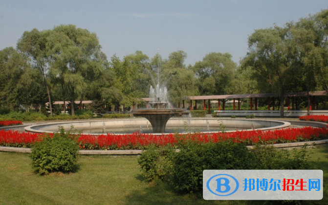 大慶職業(yè)學(xué)院?jiǎn)握?020年單獨(dú)招生報(bào)名時(shí)間、網(wǎng)址入口