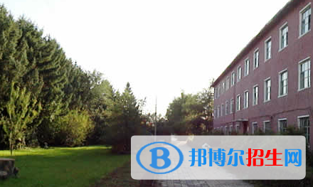 黑龍江三江美術(shù)職業(yè)學(xué)院單招2020年單獨(dú)招生成績查詢、網(wǎng)址入口