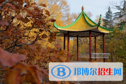 齊齊哈爾理工職業(yè)學院單招2020年單獨招生成績查詢、網址入口