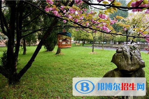 貴州林業(yè)學校2020年報名條件、招生要求、招生對象