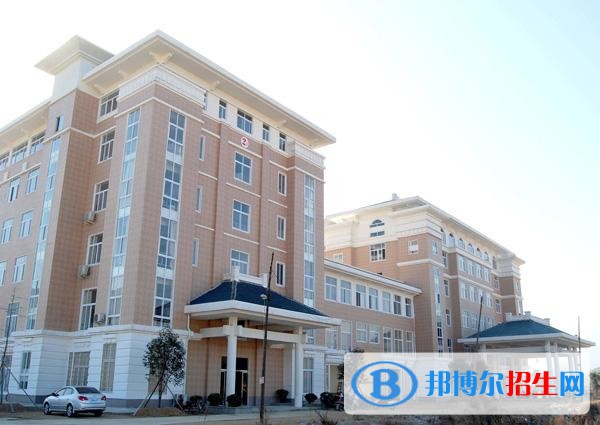 信陽11