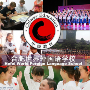 合肥世界外國(guó)語學(xué)校小學(xué)部