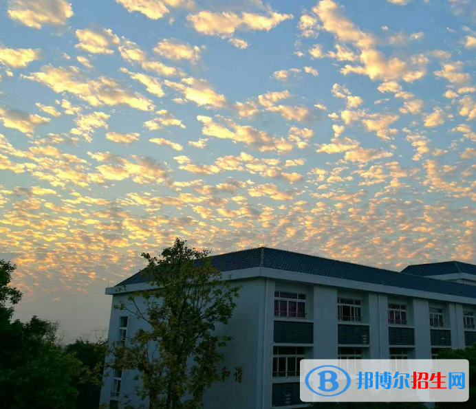 鄭州青年職業(yè)中等專業(yè)學校網(wǎng)站網(wǎng)址