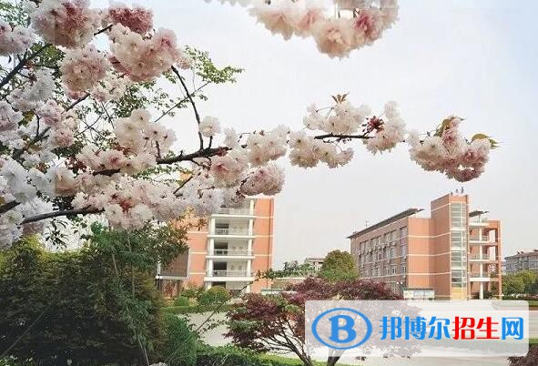 桐鄉(xiāng)衛(wèi)生學校2020年報名條件、招生要求、招生對象
