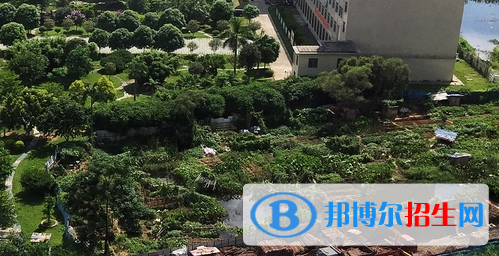 廣西工商技師學(xué)院2020年報(bào)名條件、招生要求、招生對(duì)象 