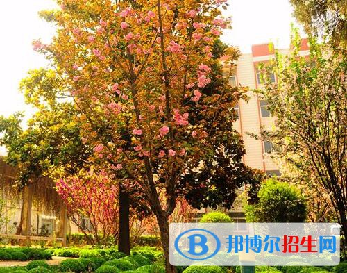 新鄉(xiāng)工業(yè)學校怎么樣、好不好