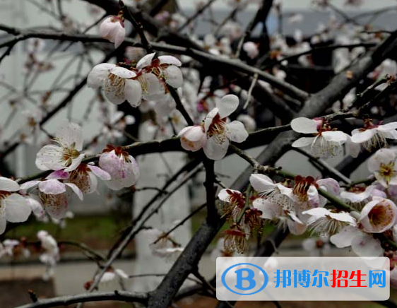 黃山旅游管理學(xué)校2020年報名條件、招生要求、招生對象