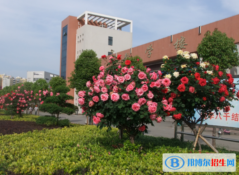 南陽(yáng)幼兒師范學(xué)校2021年招生辦聯(lián)系電話