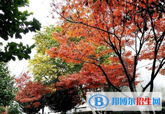 奉化職教中心怎么樣、好不好