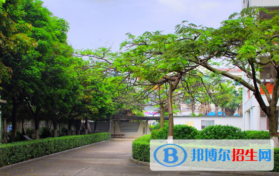 湛江湛港職業(yè)技術(shù)學(xué)校2020年報(bào)名條件、招生要求、招生對(duì)象