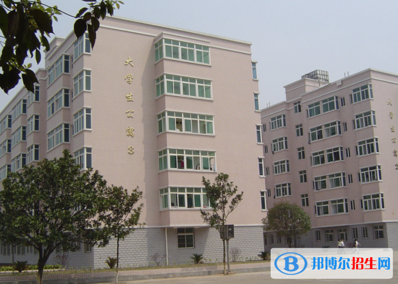 QQ截圖20200327134743