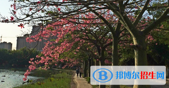 廣西經(jīng)濟(jì)職業(yè)學(xué)院2020年報(bào)名條件、招生要求、招生對象