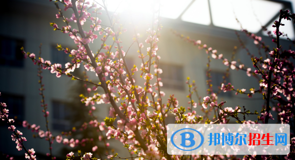 慶陽職業(yè)技術(shù)學(xué)院2020年報(bào)名條件、招生要求、招生對(duì)象
