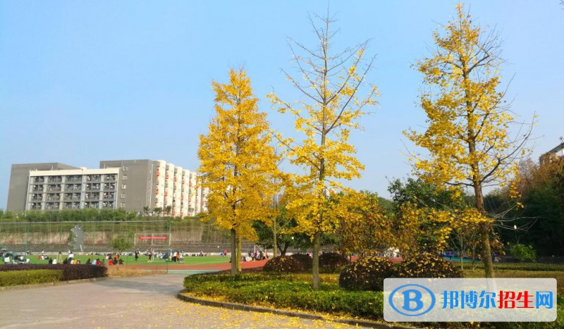 重慶醫(yī)藥高等專科學(xué)校怎么樣、好不好