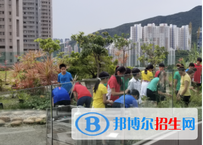 香港加拿大國際學(xué)校初中部地址在哪里