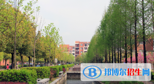 安徽新華學(xué)校2020年報(bào)名條件、招生要求、招生對(duì)象
