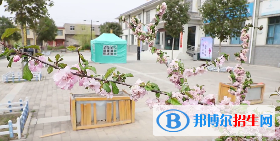 蘭州慈愛實(shí)驗(yàn)藝術(shù)職業(yè)學(xué)校2020年招生錄取分?jǐn)?shù)線