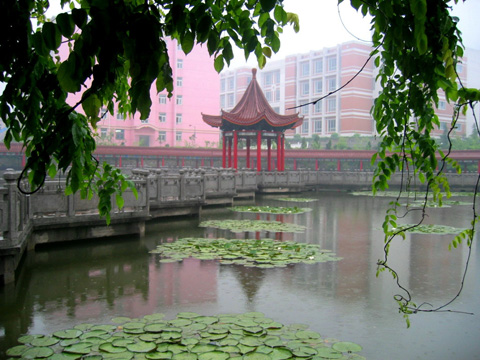 金肯職業(yè)技術(shù)學(xué)院怎么樣、好不好