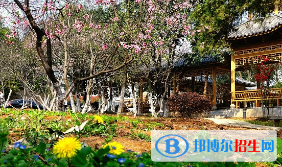 安徽林業(yè)職業(yè)技術(shù)學(xué)院2020年報名條件、招生要求、招生對象