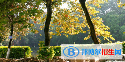 廣西民族中等專業(yè)學(xué)校2020年報(bào)名條件、招生要求、招生對(duì)象