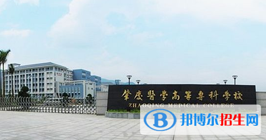 肇慶醫(yī)學高等?？茖W校2020年招生簡章