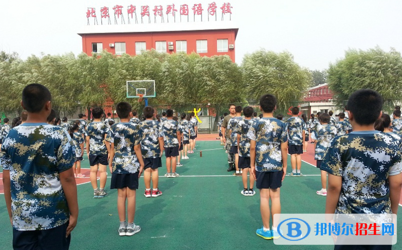 北京中關(guān)村外國(guó)語學(xué)校小學(xué)部2023年招生計(jì)劃