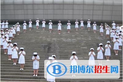 四川2020年衛(wèi)校好的大專學校