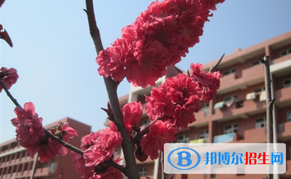 沙河第一中學(xué)2021年報名條件、招生要求、招生對象