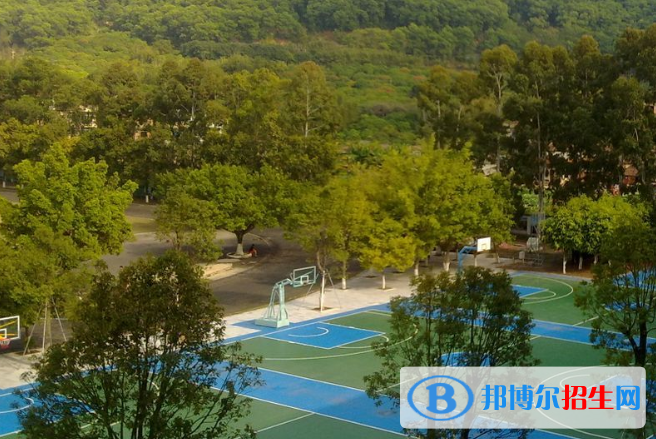 廣州增城荔城中學(xué)2021年招生計劃