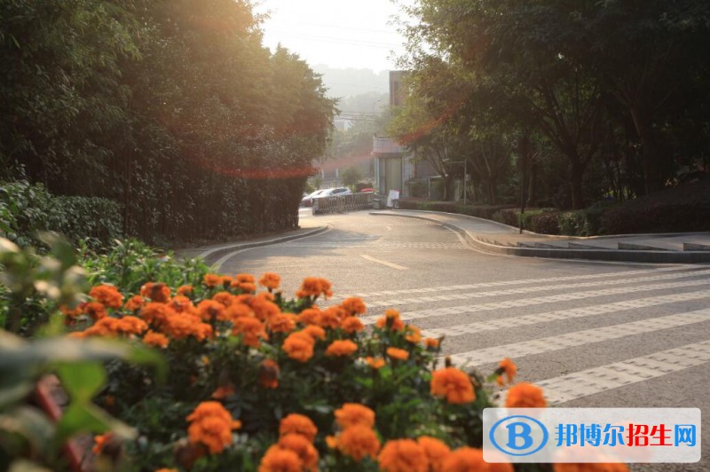 重慶2021年哪個幼師學校比較好