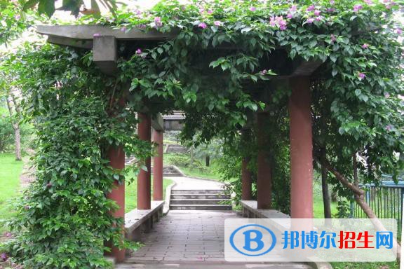 重慶市墊江縣職業(yè)教育中心怎么樣、好不好