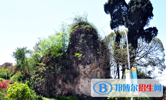 貴陽(yáng)2021年哪些大專的汽修學(xué)校比較好