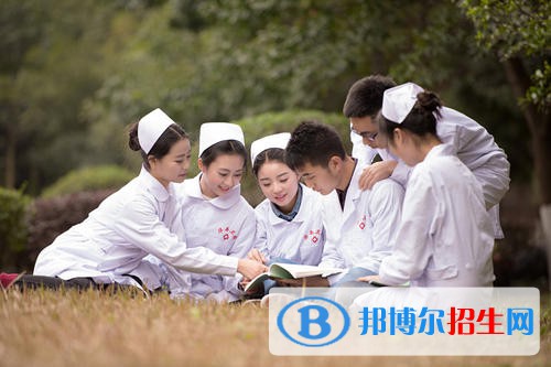 四川2021年護理學(xué)?？梢詫W(xué)什么