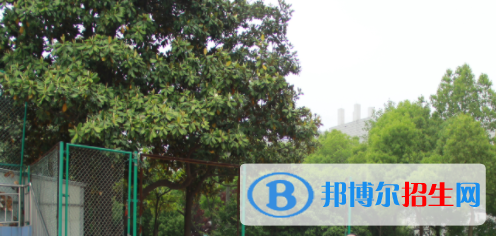 安徽2021年高中畢業(yè)讀中專(zhuān)學(xué)校