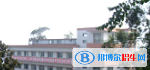 四川2021年什么電子商務(wù)學(xué)校好