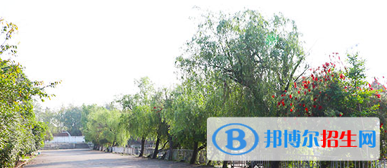 成都2021年初中生報什么護理學(xué)校最好