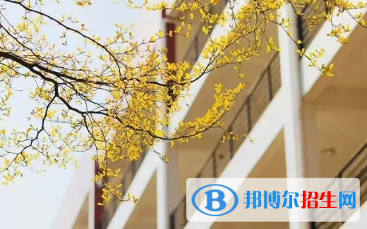 貴州2022年中專學(xué)校包就業(yè)嗎