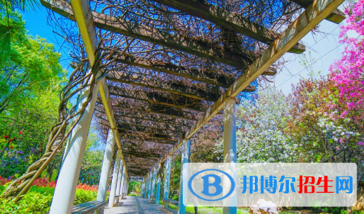 貴州2022年中?？梢愿呖紗? width=