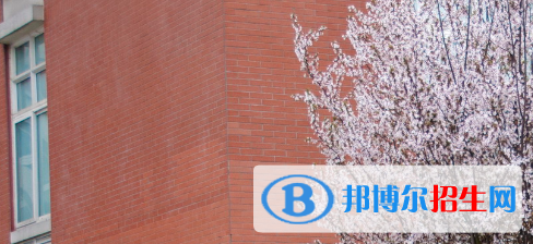 成都2022年有哪些有計算機學(xué)校的大專院校