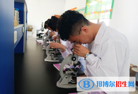邯鄲2022年男生讀中專學校學什么好