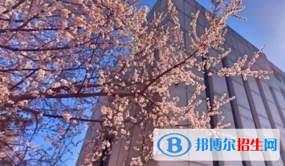 貴陽2022年上中專學(xué)校有什么好處