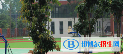 成都2022年讀計算機學(xué)校需要什么證件
