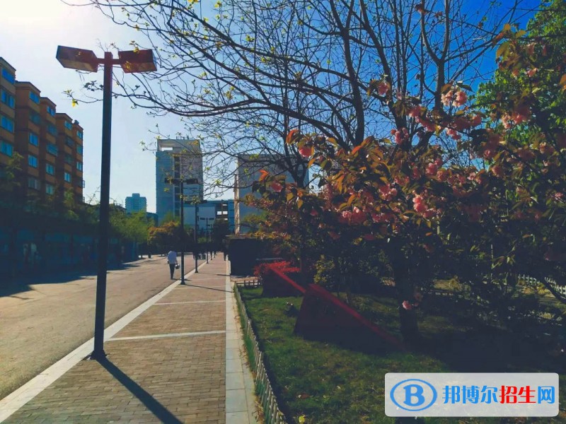 徐州醫(yī)藥高等職業(yè)學(xué)校怎么樣、好不好