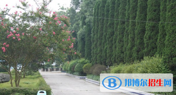 重慶市茂森中等職業(yè)學校2022年招生辦聯系電話