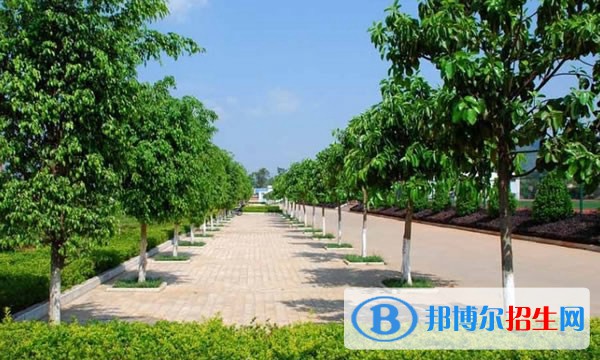 鎮(zhèn)雄縣職業(yè)高級(jí)中學(xué)網(wǎng)站網(wǎng)址