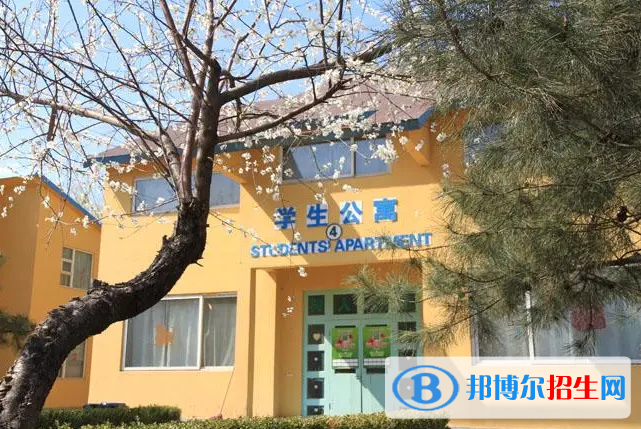 北京私立樹人瑞貝學(xué)校小學(xué)部2023年入學(xué)考試