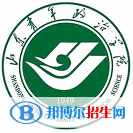 山東青年政治學(xué)院藝術(shù)類專業(yè)有哪些？（藝術(shù)類專業(yè)）