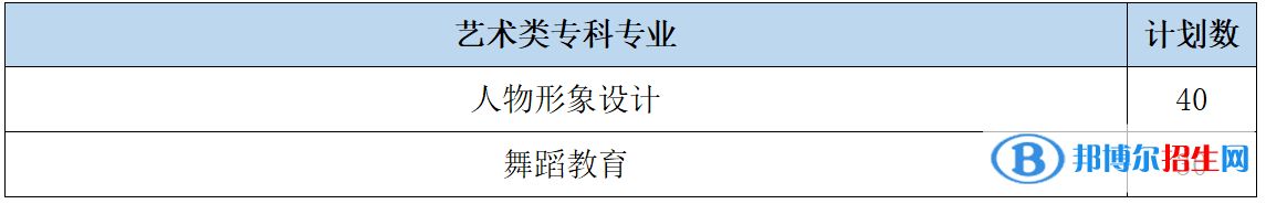 山東女子學(xué)院藝術(shù)類專業(yè)有哪些？
