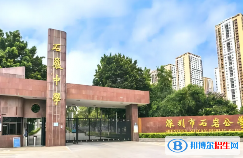 深圳石巖公學(xué)學(xué)校國際部初中2023年課程體系2