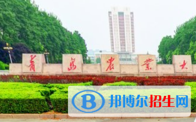 歷年青島農業(yè)大學2022全國排名榜(軟科+校友會）-2023參考